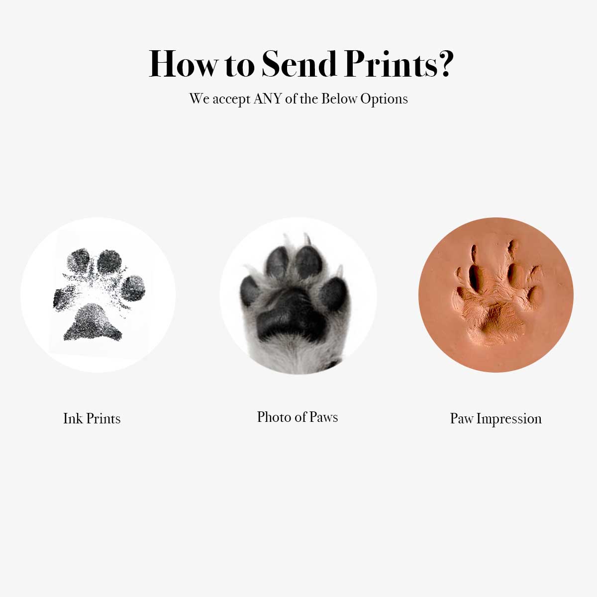 Custom Paw Print Portrait